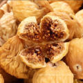 Free Samples Fruits Dried Fig Wholesale Dry Fig